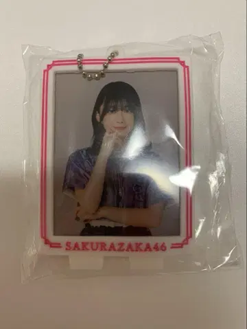 사쿠라자카46 모리타 히카루 러버 프레임 스탠드
