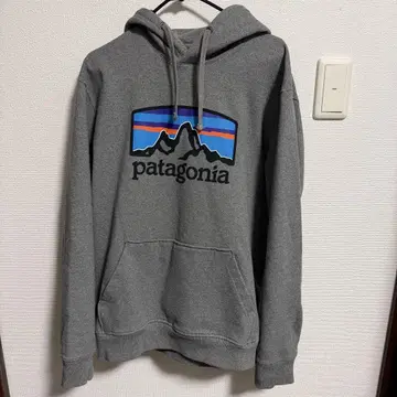 Patagonia 후디