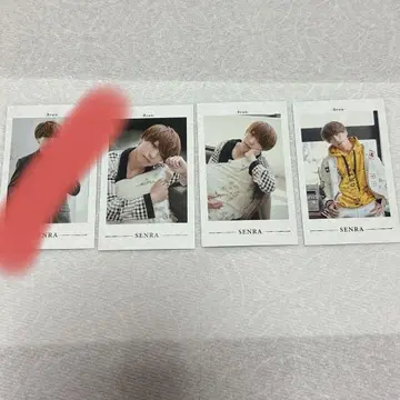 센라 brun 폴라로이드 포토 카드