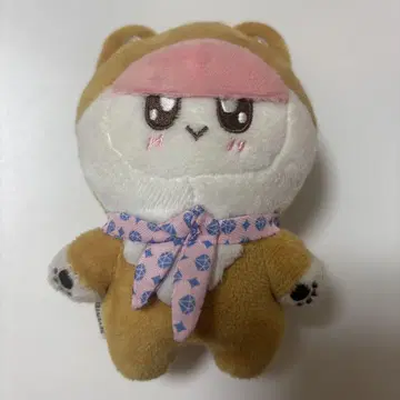 SEVENTEEN 세부치 봉봉이 강아지