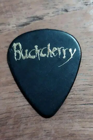 본인 사용! Buckcherry 기타 피크