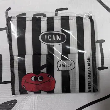 BTS JIN IGIN 팝업 에코백