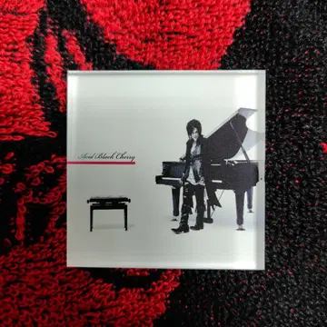 Acid Black Cherry 아크릴 마그넷  시크릿 ver.