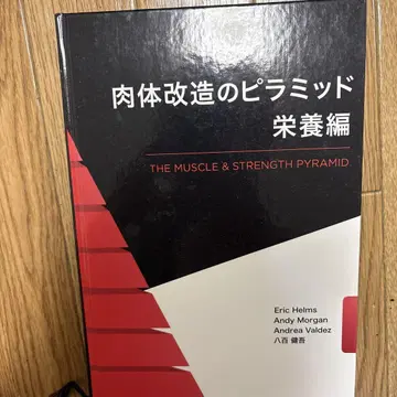 신체 개조의 피라미드 영양편