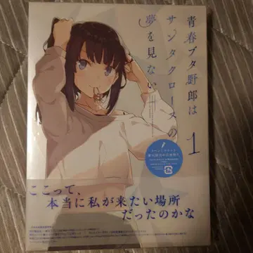 청춘 돼지 녀석은 산타클로스의 꿈을 꾸지 않아 DVD 1권
