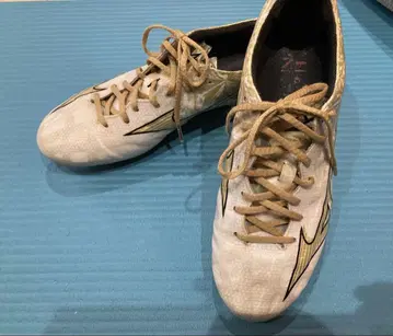 미즈노 알파 엘리트 25cm