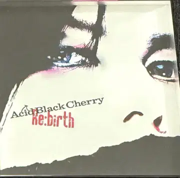 Acid Black Cherry 아크릴 마그넷 [ Re:birth ]
