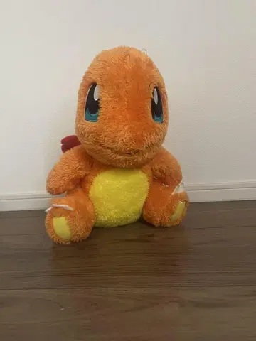 포켓몬 꼬부기 봉제 인형