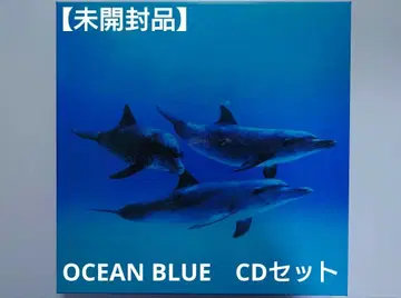 CD BOX [ OCEAN BLUE ] 총 8장 세트