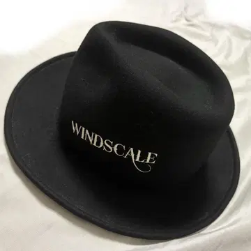 가면라이더 W WINDSCALE 모자 왼쪽 쇼타로 펠트 햇 블랙