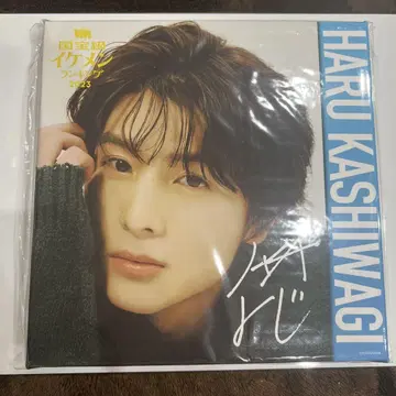 초특급 카시와기 하루 ViviS상 온라인 복권 캔버스 보드