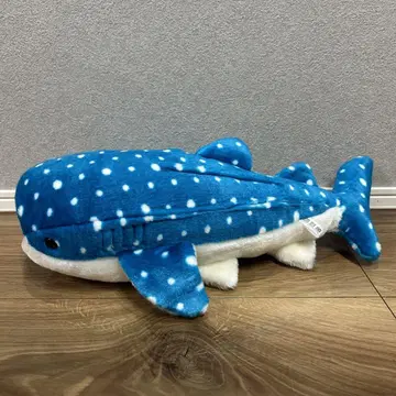 해유관 징베 상어 봉제 인형 수족관 상어