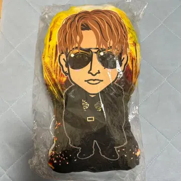 시라하마 아란 쿠션 도리 귀족 강림