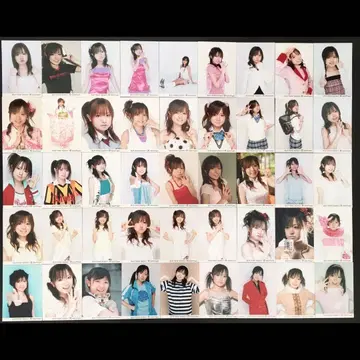 6384 모닝구무스메. 콘노 아사미 브로마이드 45장 세트