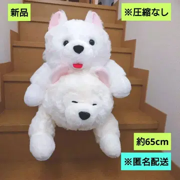 새상품 흐물흐물 사모예드군 눕기 울트라 BIG 봉제 인형 2개 익명 배송