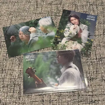 Mrs. GREEN APPLE 바벨 포토 카드 3장 오리지널