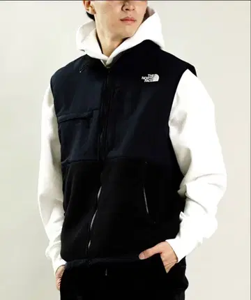 새상품 THE NORTH FACE 남성용 데나리 베스트 NA72453