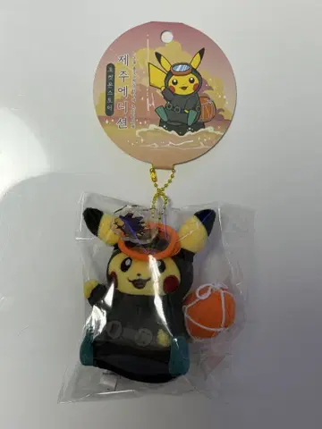 한국 한정판 제주 포켓몬 캡슐 아일랜드 마스코트 피카츄 수컷