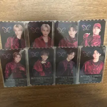 FANTASTICS BUTTERFLY EFFECT 클리어 픽처 티켓