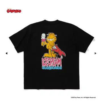 ICECREAM x GARFIELD