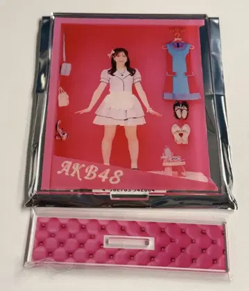 AKB48 도쿄 다이마루 인형 박스 랜덤 아크릴 스탠드 나가노 세리카