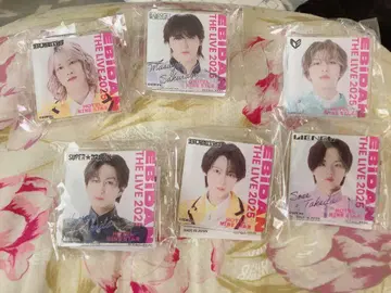 EBIDAN THE LIVE 2025 핀 배지 6개 세트