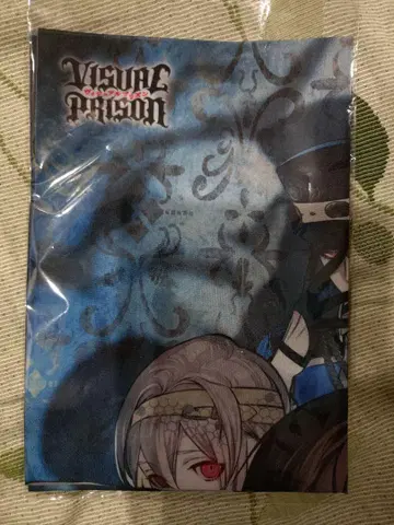 비주얼 프리즌 A3 천 포스터 O Z