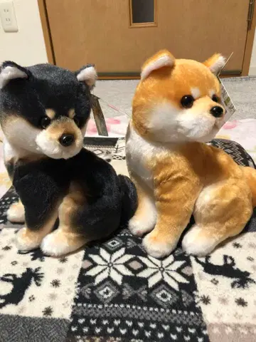 이리 와! 시바견 봉제 인형 블랙과 오렌지 2개 세트 새상품