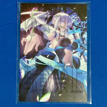 TSUTAYA IP 서점 한정판 엽서 모르간 FGO 최종 재림 화집