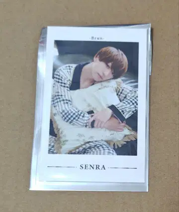 우라시마사카타센 센라 SENRA 폴라로이드 포토 카드 Brun