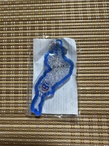 BIWAKO 아크릴 키링 시가 레이크스