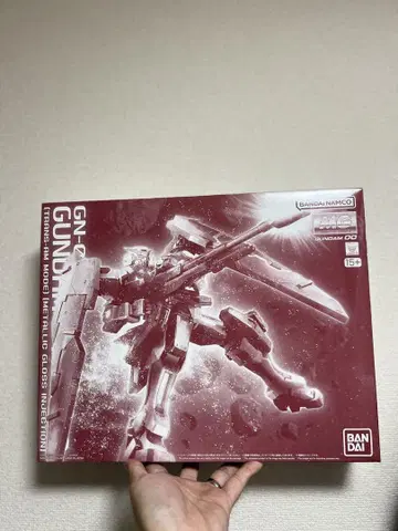 MG 1/100 건담 듀나메스 (트랜잠 모드) 글로스 인젝션