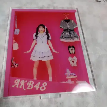 무카이치 미온 AKB48 도쿄 다이마루 인형 박스 랜덤 아크릴 스탠드