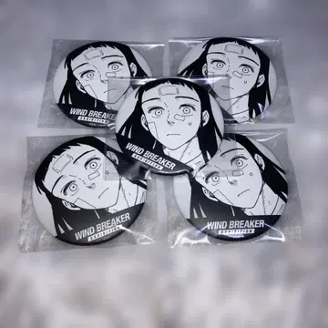 WIND BREAKER 윈브레전 시계 부품 캔뱃지 5개 세트