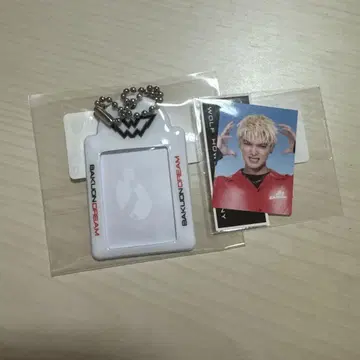 Whh 증명사진 ryoji 세트 토라스테