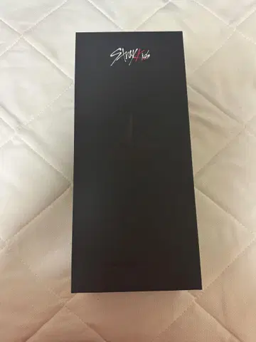 Stray Kids 응원봉 ver.2
