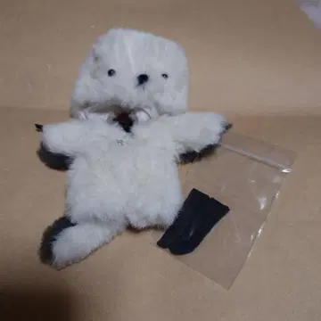 오비츠11 인형옷 시마연가 인형 옷 갈아입기