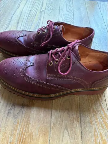 Danner 메달리온 윙 칩 27cm