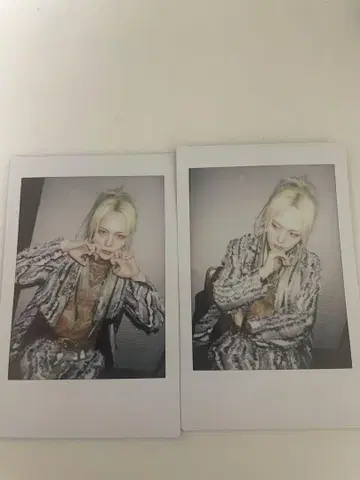 나방과 나비 레이 님 폴라로이드