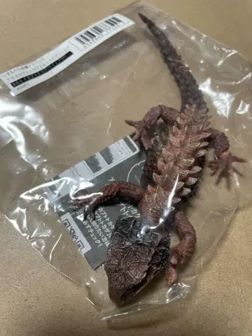 생물대도감 어드밴스 모토이 가부토 도마뱀 (라이트 브라운) 미개봉 새상품