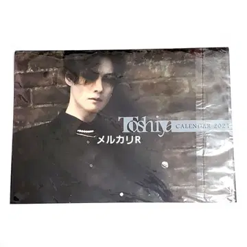 DIR EN GREY Toshiya 2021년 달력