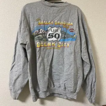 Harley-Davidson 맨투맨 S 표기 M 상당 빈티지