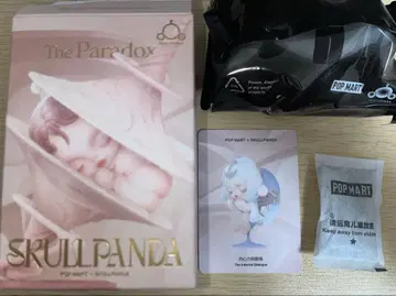 SKULLPANDA Paradox The Internal Dialogue