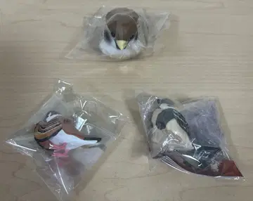 참새 굿즈 세트.