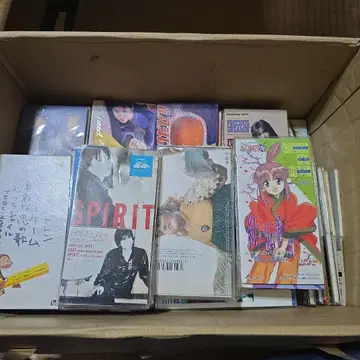 CD 모음 약 170장