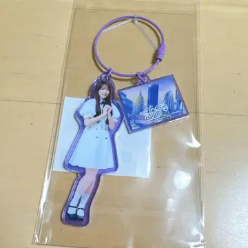 노기자카46 신참자 아크릴 참 모리히라 레이신