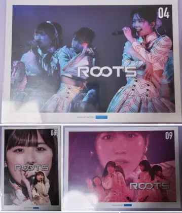 안쥬르므 ROOTS KIRAKIRA 핑포스