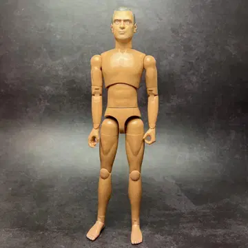 1/6 남성 소체 DM