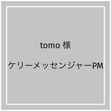 켈리 메신저 PM 백 인 백