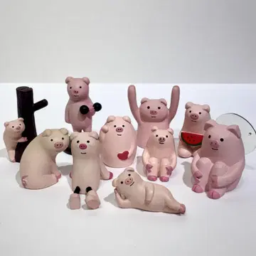 희귀! 레어! concombre 콘콘블 돼지 묶음 판매